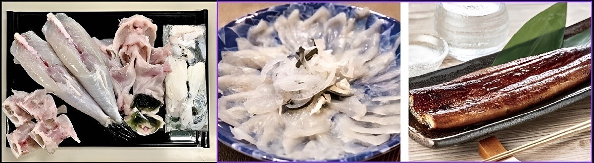 ZERO KARA VIỆT NAM 4