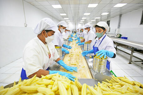 Chế Biến Nông Sản Dou Sheng 2