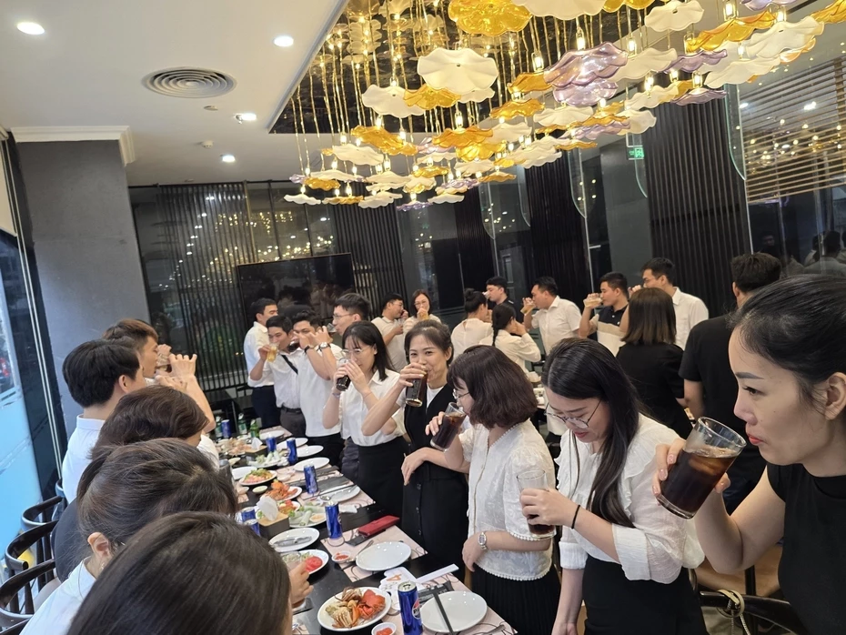 Dịch Vụ Doza Illumination 1