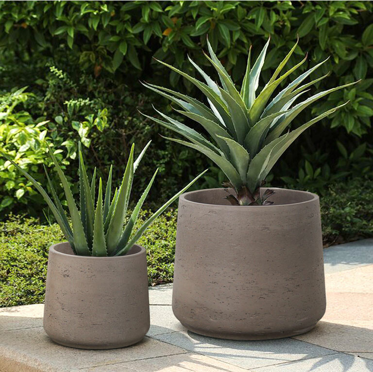 An Cơ Bình Dương 4