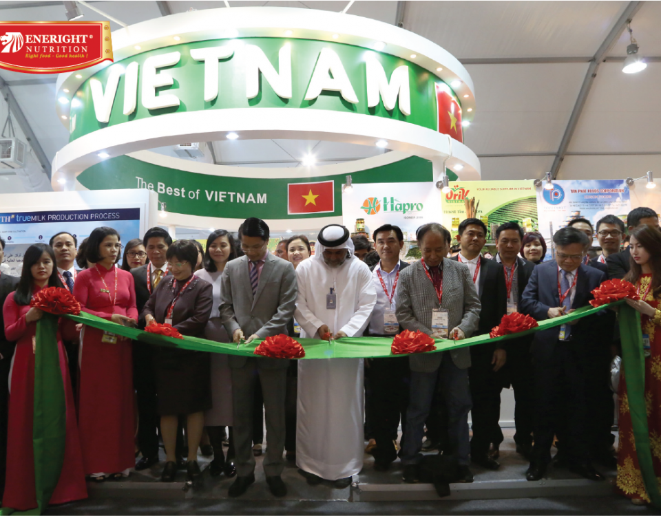 ENERIGHT VIỆT NAM 4