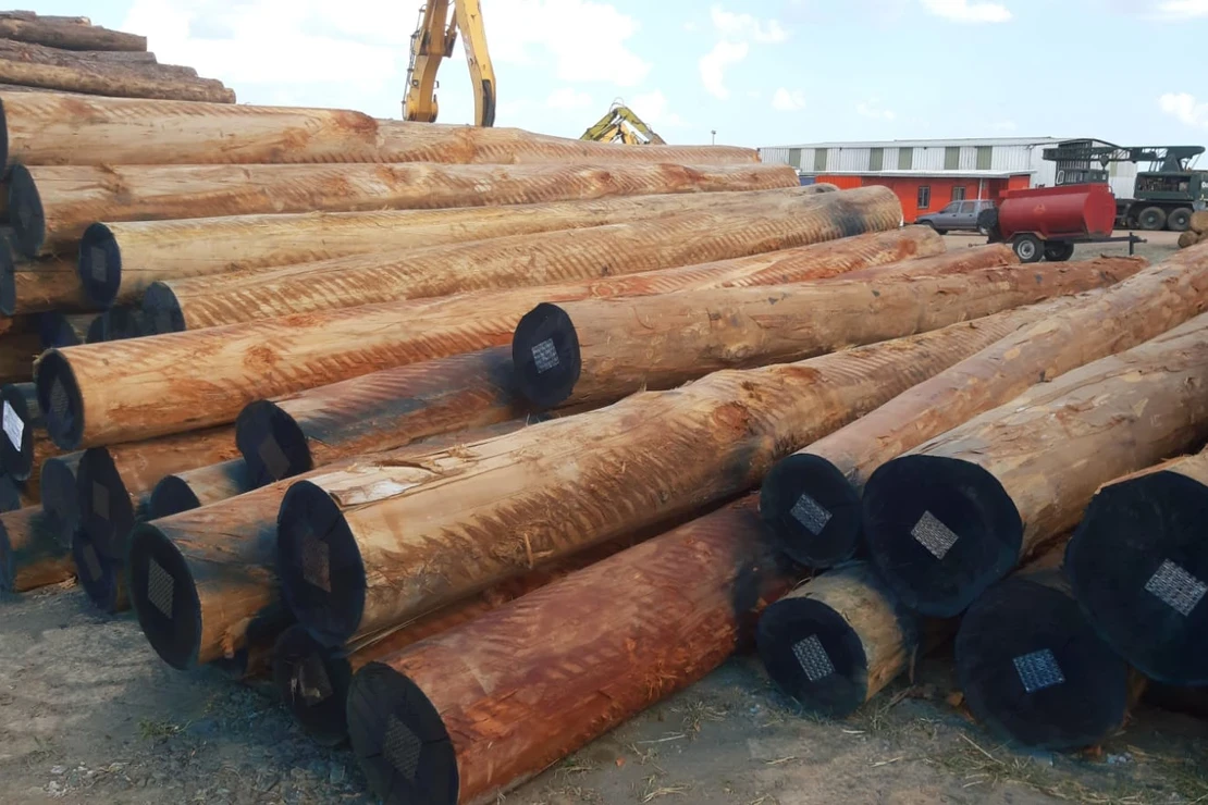 JAF GLOBAL VIỆT NAM 4