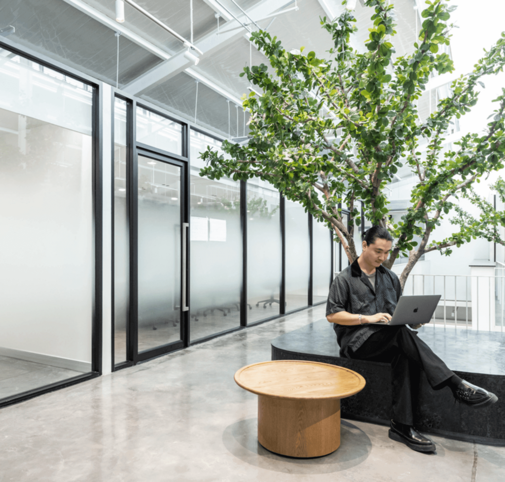 JPS Fashions Việt Nam 3