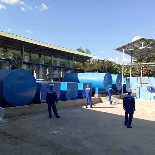 Môi Trường Cao Gia Quý 9