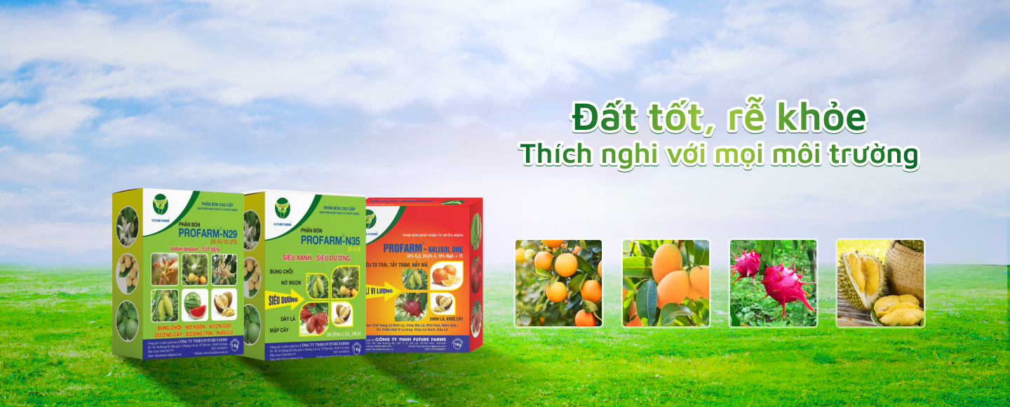 XUẤT NHẬP KHẨU FUTURE FARM 10