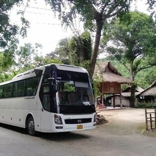 Dịch Vụ Minh Việt 10