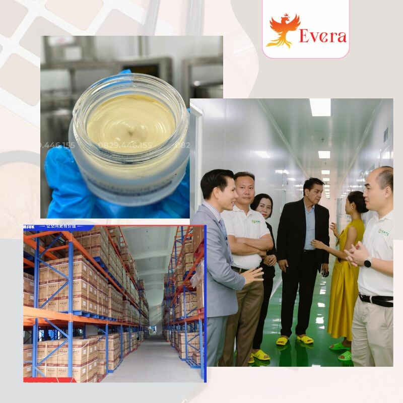 EVERA COSMETIC 9