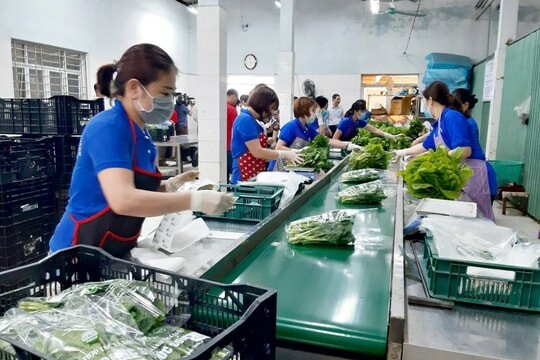 Hợp Tác Xã Nhà Xanh Toàn Cầu 7