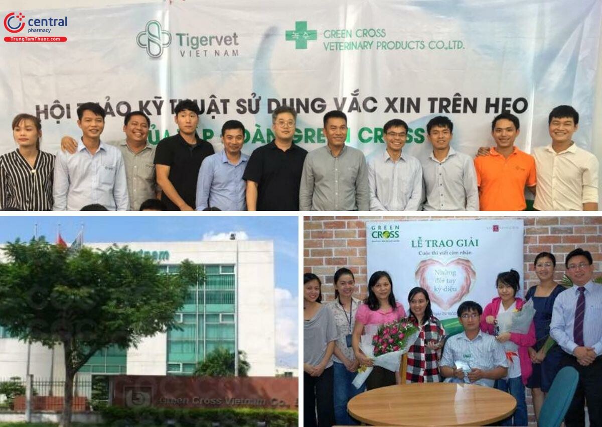 GREEN CROSS VIỆT NAM 8