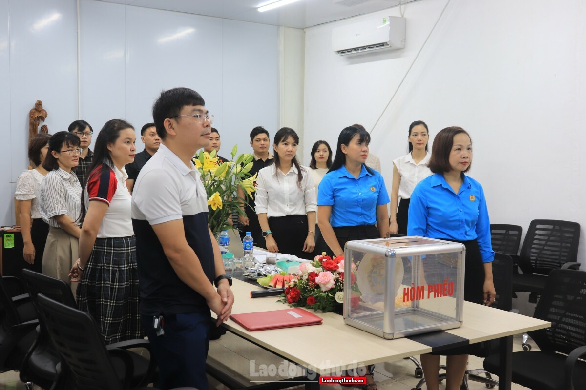 Dịch Vụ Doza Illumination 7