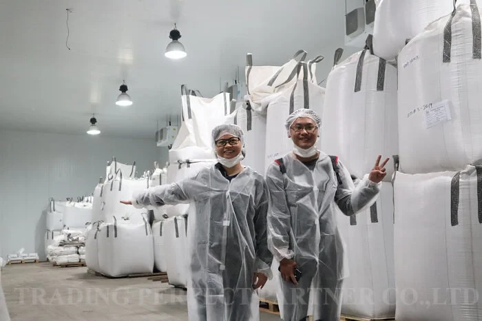 Trading Perfect Partner 11