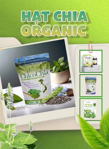 Hợp Tác Xã Nhà Xanh Toàn Cầu 2