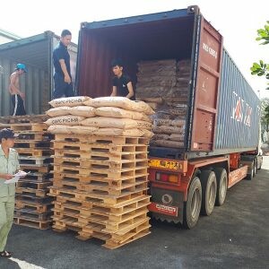 Xuất Nhập Khẩu Tân Phong Vận 7