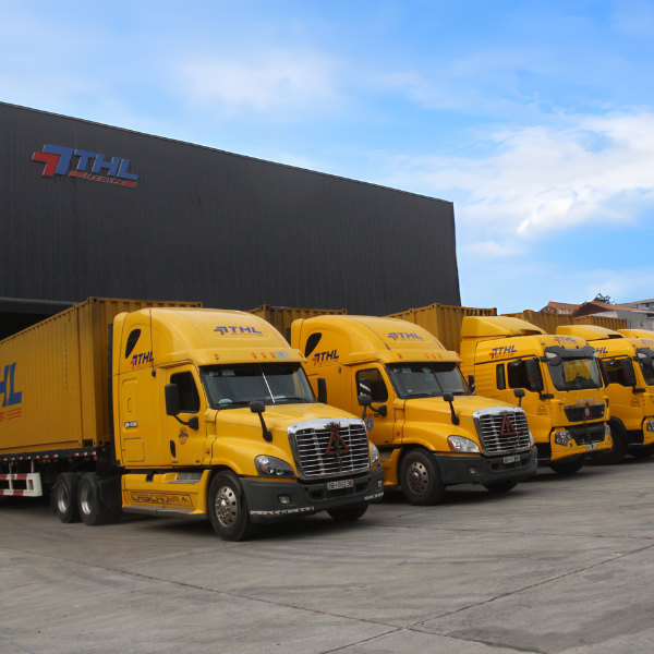 Dịch Vụ Logistics THL Việt Nam 8
