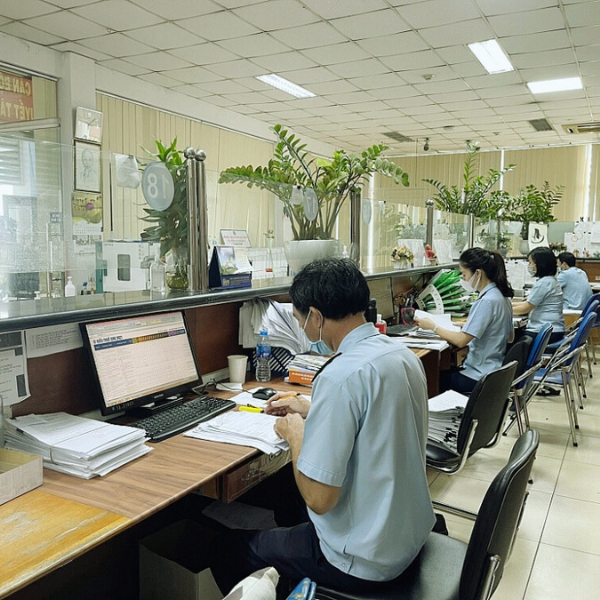 Dịch Vụ Logistics THL Việt Nam 4