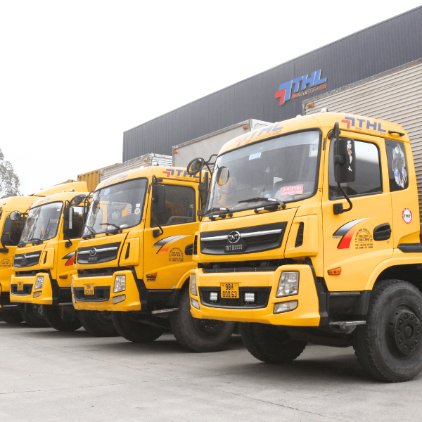 Dịch Vụ Logistics THL Việt Nam 6