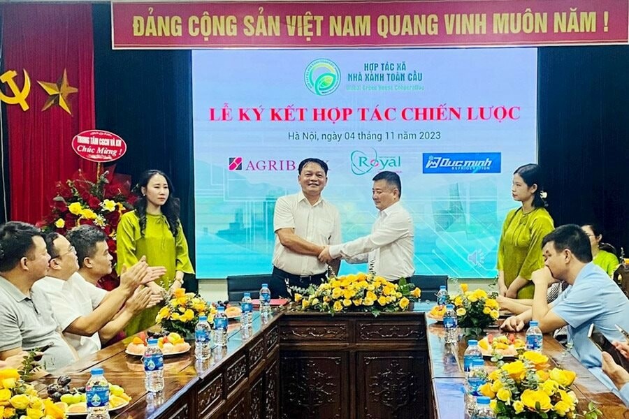 Hợp Tác Xã Nhà Xanh Toàn Cầu 9