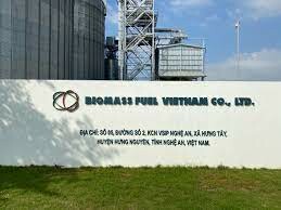 Biomass Fuel Việt Nam 10