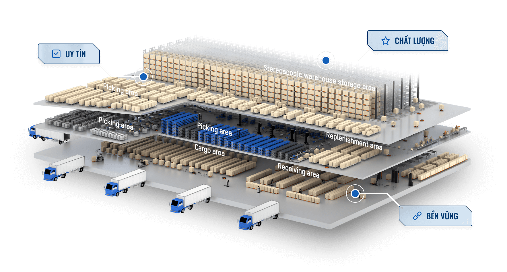 Xuất Nhập Khẩu VHS 5