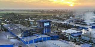 Pilmico Vịệt Nam 7