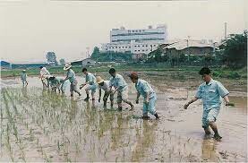 JW Holdings Corporation 9