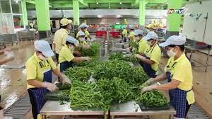 CÔNG TY TNHH TP TM DV TRÂN HƯƠNG 5