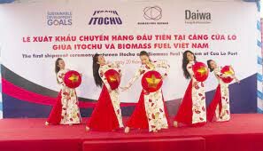 Biomass Fuel Việt Nam 4