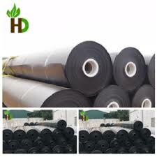 Hoàng Dũng Green Việt Nam 1