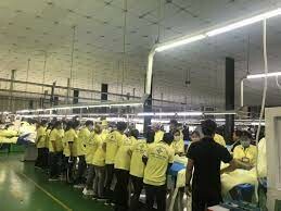 Hưng Thịnh Phú Group 6