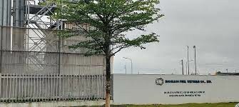 Biomass Fuel Việt Nam 1