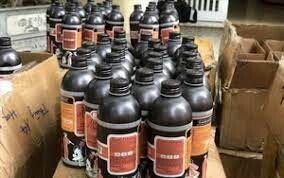 Việt Pháp Victory 1