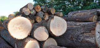 JAF GLOBAL VIỆT NAM 3