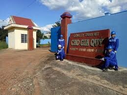 Môi Trường Cao Gia Quý 10