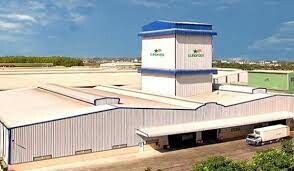 Pilmico Vịệt Nam 6