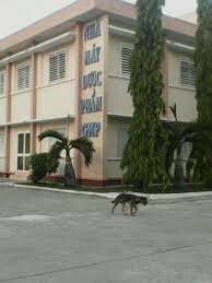 DƯỢC PHẨM KHÁNH HÒA 10