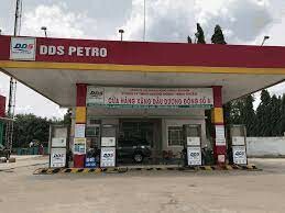 DDS Petro Group 11
