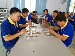 Bao Bì Giấy Nhôm New Toyo 2