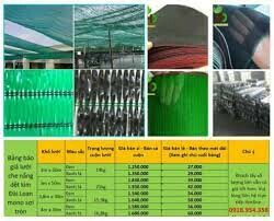 Hoàng Dũng Green Việt Nam 12