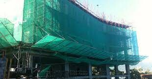 Hoàng Dũng Green Việt Nam 8