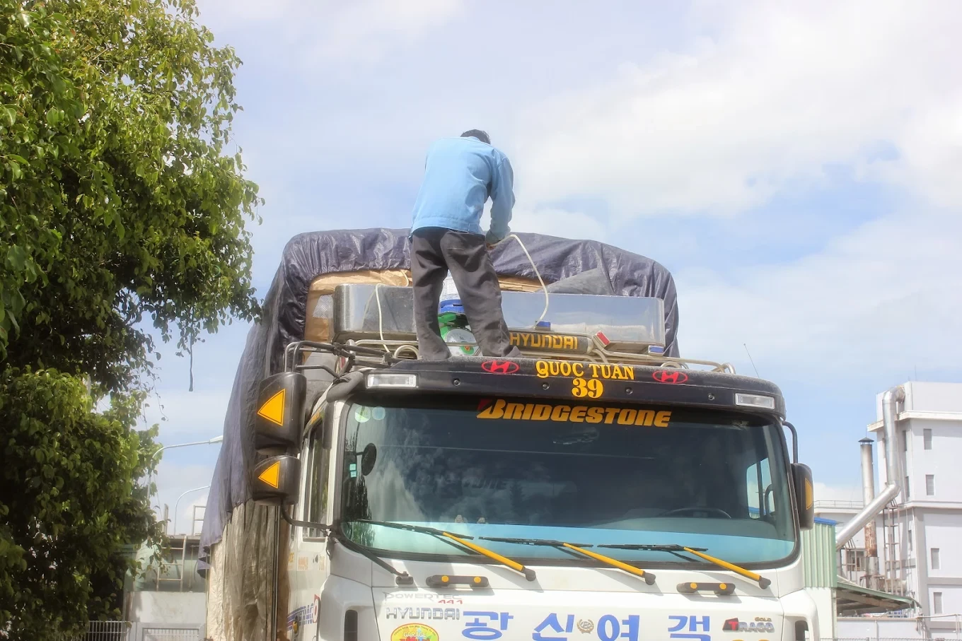 Thương Mại Dịch Vụ Âu Châu (Euro Pest Control) 8