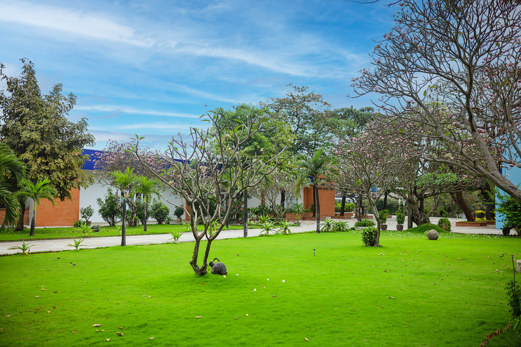 CÔNG TY CỔ PHẦN PHÁT TRIỂN SÀI GÒN 5