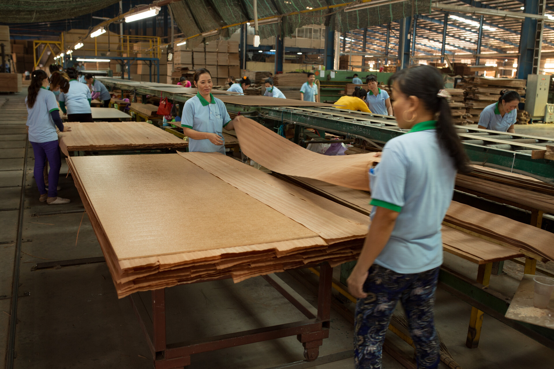 Shang Wood Industries 5