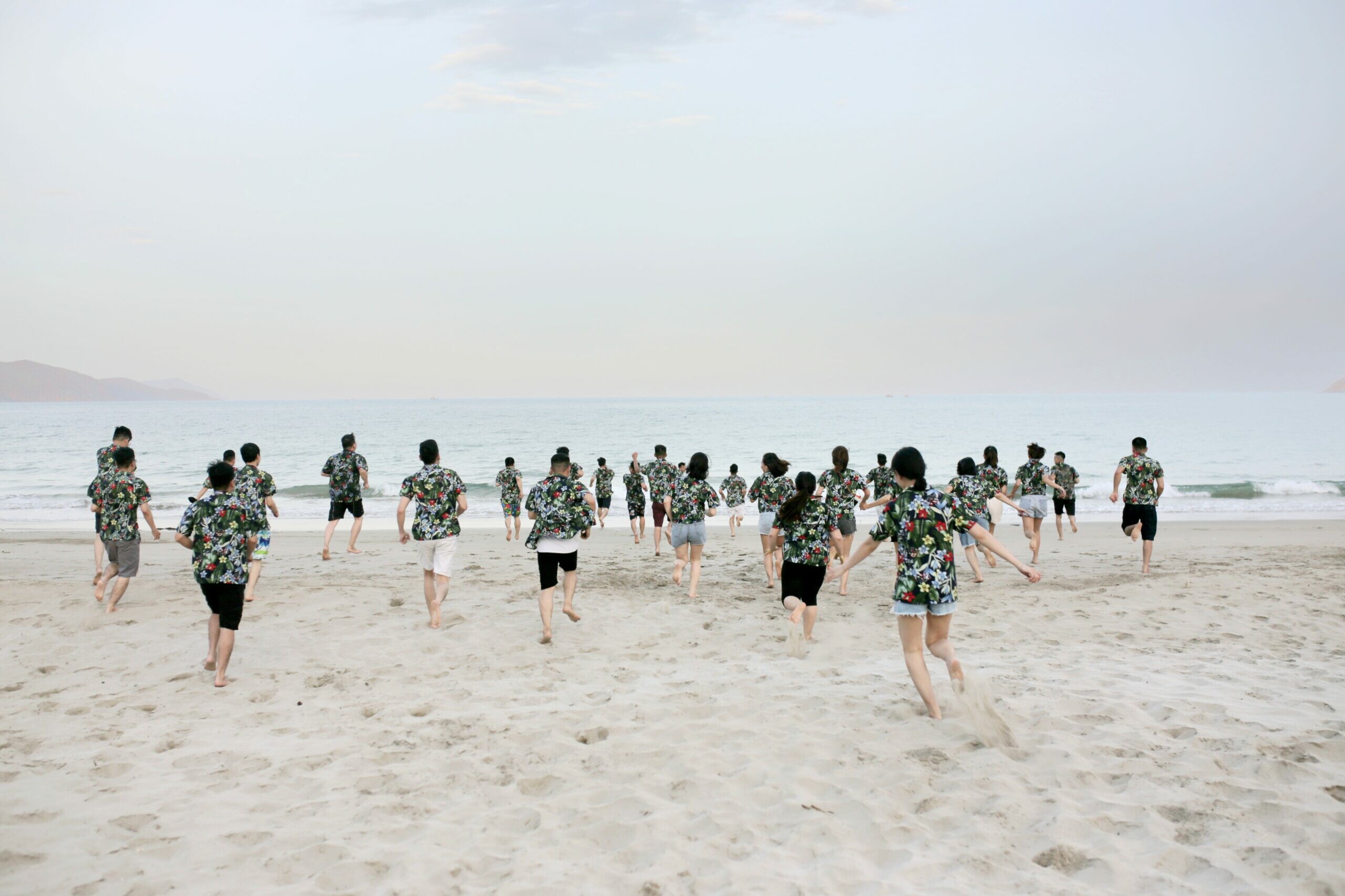 GREEN SOFT VIỆT NAM 5