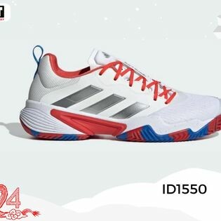 THỂ THAO SPORT 1 11