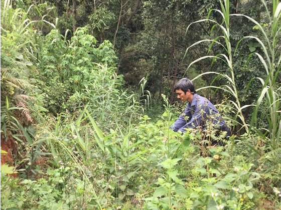 CÔNG TY TNHH DƯỢC PHẨM KISHO VIỆT NAM 1