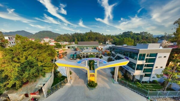 Dịch Vụ Logistics THL Việt Nam 1