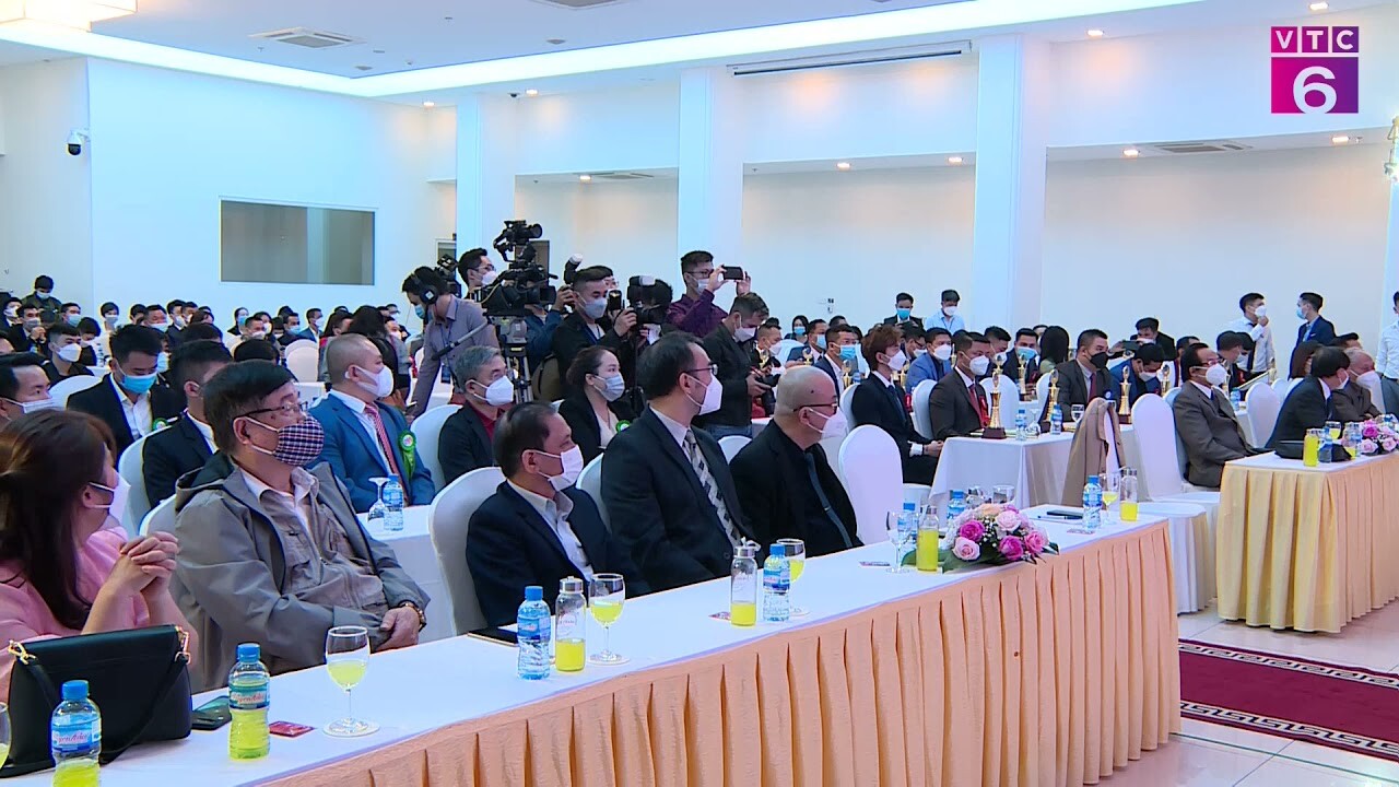 QUỐC TẾ SHARK 11