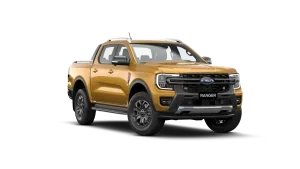 Tấn Phát Đạt 11