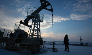 Xuất Nhập Khẩu Tân Phong Vận 9