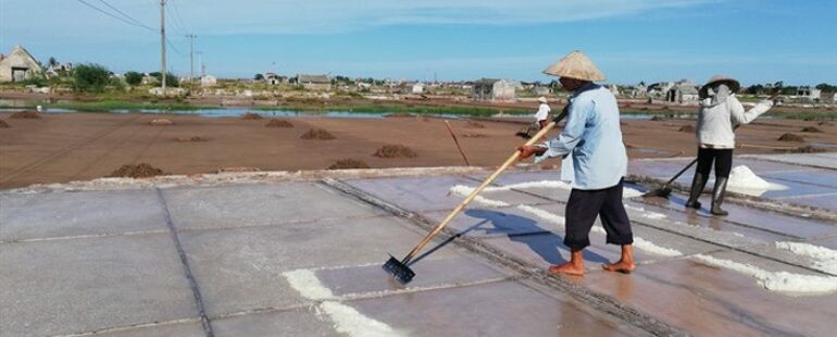 Tân Nhạn Dương 2